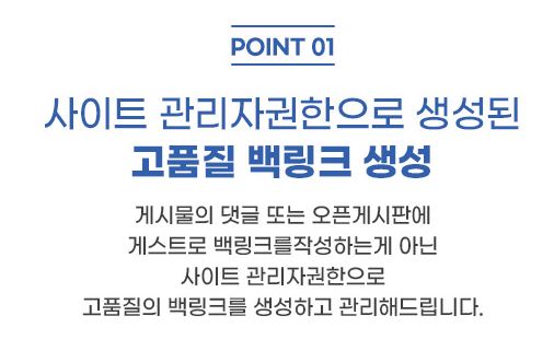 프리미엄 활성화 백링크 / 은가비플랜