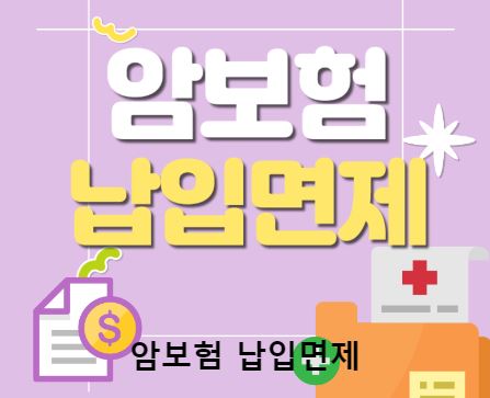 보험비교사이트 위즈인슈에서 찾는 최적의 보험 상품